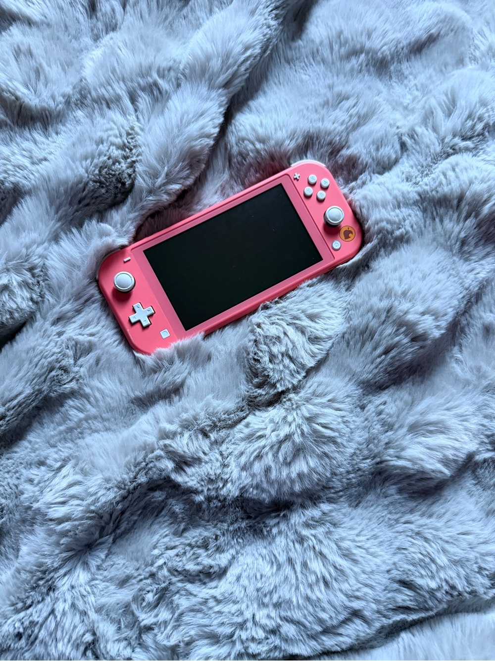 Pink Nintendo Switch Lite - Brand Nintendo
